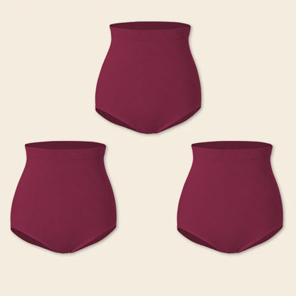 True Bub™ Slim Sculpt - High Waisted Postpartum Slimming Shape wear Briefs Seamless 3PCS